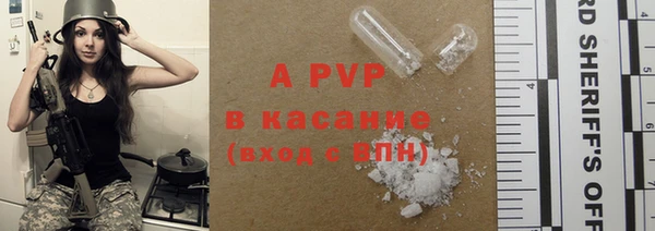 прущие грибы Балахна