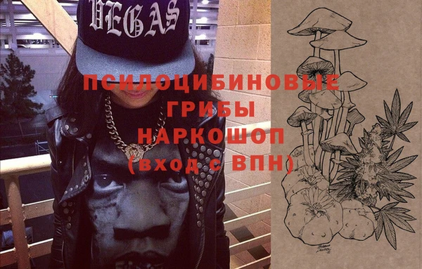 прущие грибы Балахна