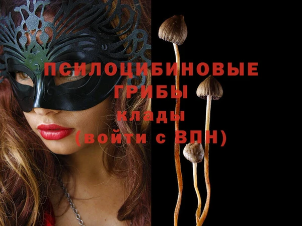 прущие грибы Балахна