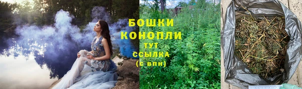 прущие грибы Балахна