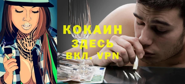 прущие грибы Балахна